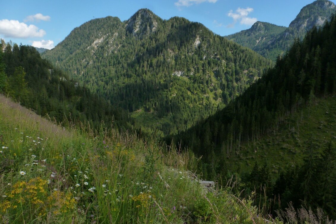 Hiking route High  Trail Wildalpen - Hinterwildalpen - Touren-Impression #1 | © Tourismusverband Wildalpen