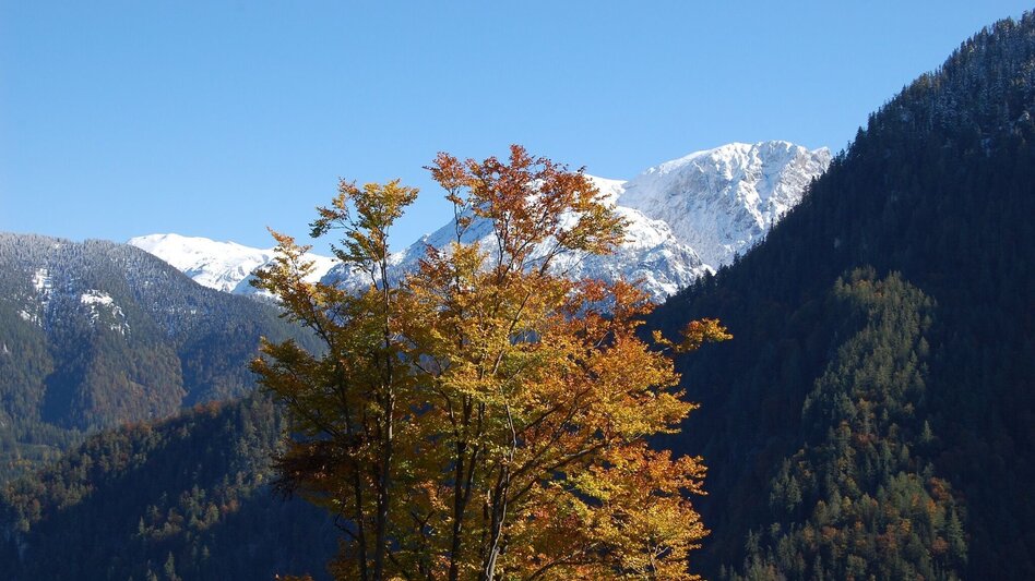 Hiking route High  Trail Wildalpen - Hinterwildalpen - Touren-Impression #2.2 | © Tourismusverband Wildalpen