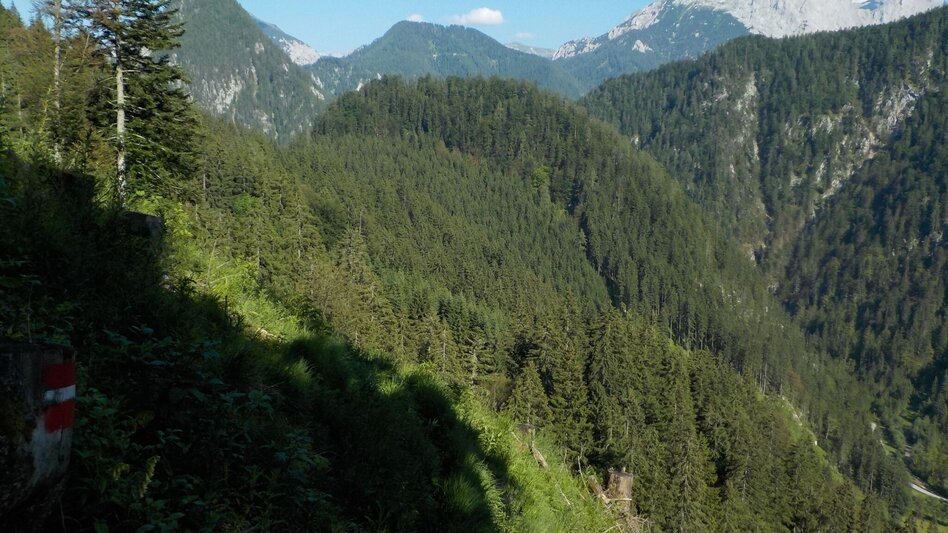 Hiking route High  Trail Wildalpen - Hinterwildalpen - Touren-Impression #2.3 | © Tourismusverband Wildalpen