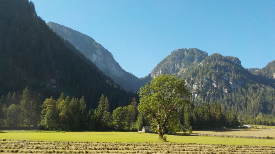 Hiking route High  Trail Wildalpen - Hinterwildalpen - Touren-Impression #2.5 | © Tourismusverband Wildalpen
