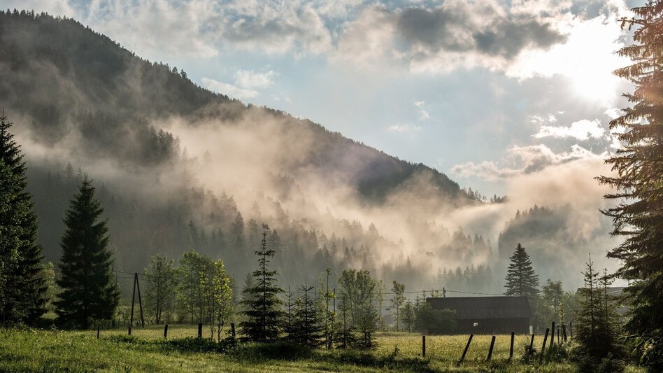 Hiking route High  Trail Wildalpen - Hinterwildalpen - Touren-Impression #2.7 | © TV Gesäuse