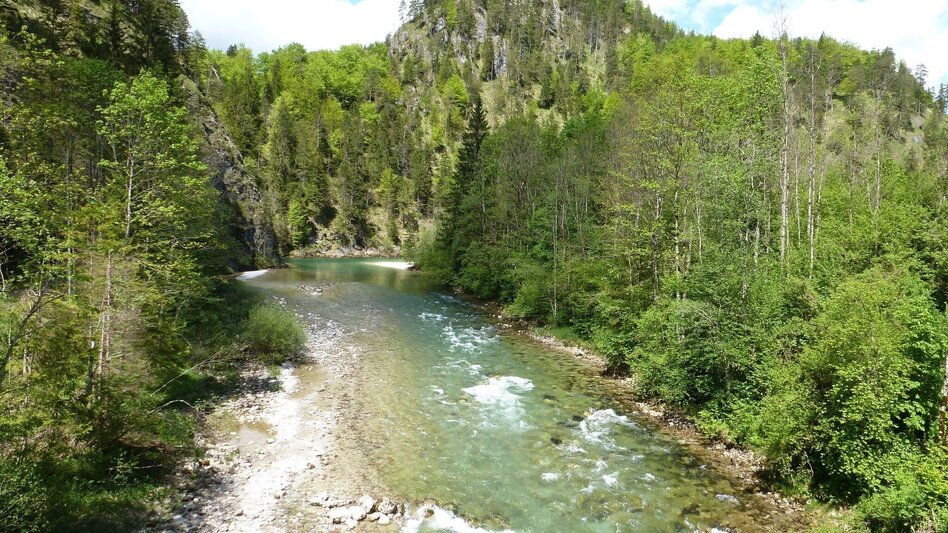 Hiking route Hopfgartenrunde Wildalpen - Touren-Impression #2.2 | © Tourismusverband Wildalpen