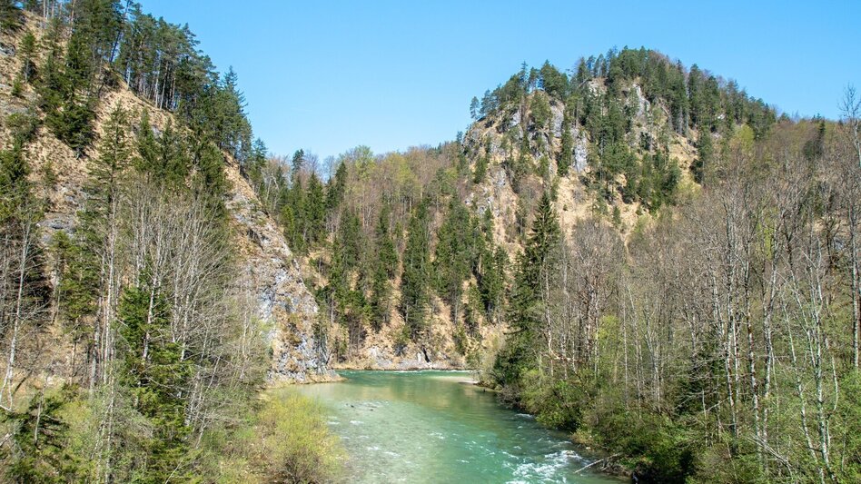 Hiking route Hopfgartenrunde Wildalpen - Touren-Impression #2.8 | © TV Gesäuse