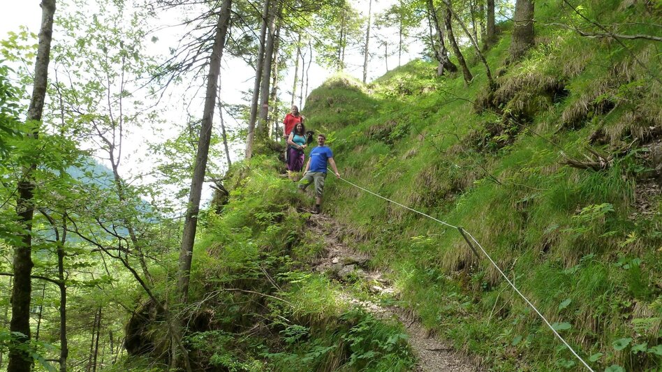 Wanderung Kräuterhalsrunde Wildalpen - Touren-Impression #2.1 | © Tourismusverband Wildalpen