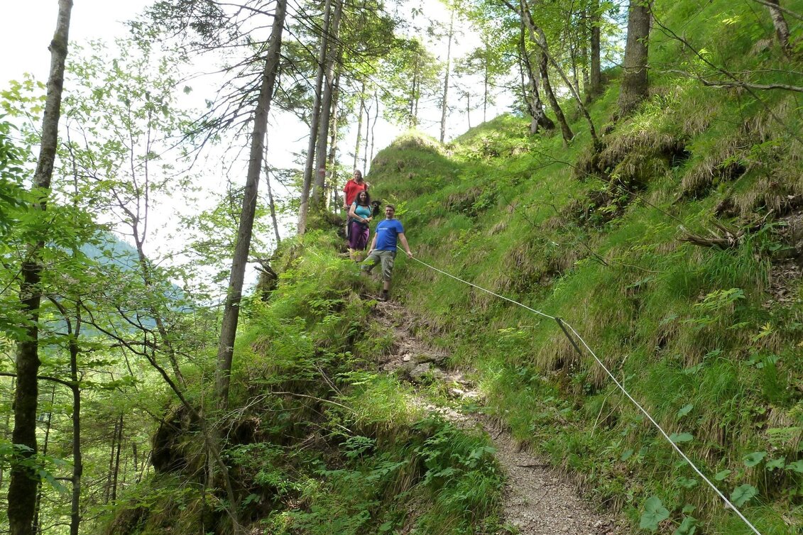 Wanderung Kräuterhalsrunde Wildalpen - Touren-Impression #1 | © Tourismusverband Wildalpen