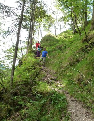 Höherliegender Steig entlang der Salza | Christian Scheucher | © Tourismusverband Wildalpen