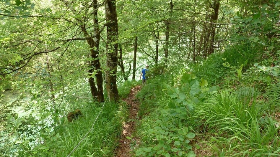 Wanderung Kräuterhalsrunde Wildalpen - Touren-Impression #2.3 | © Tourismusverband Wildalpen