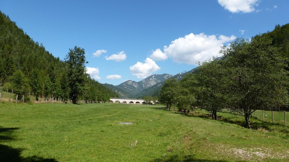 Wanderung Kräuterhalsrunde Wildalpen - Touren-Impression #2.4 | © Tourismusverband Wildalpen 