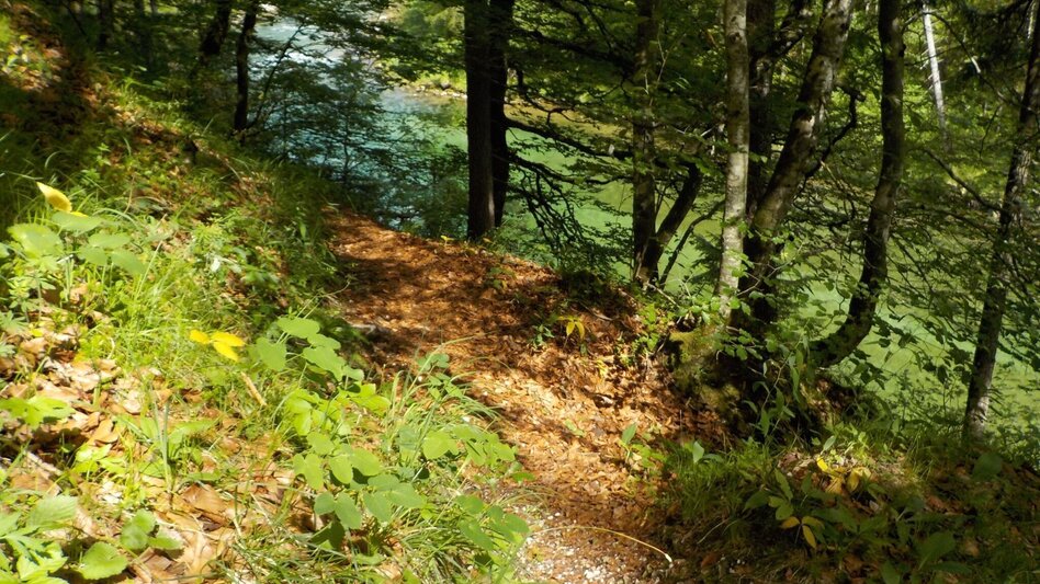 Wanderung Kräuterhalsrunde Wildalpen - Touren-Impression #2.5 | © Tourismusverband Wildalpen