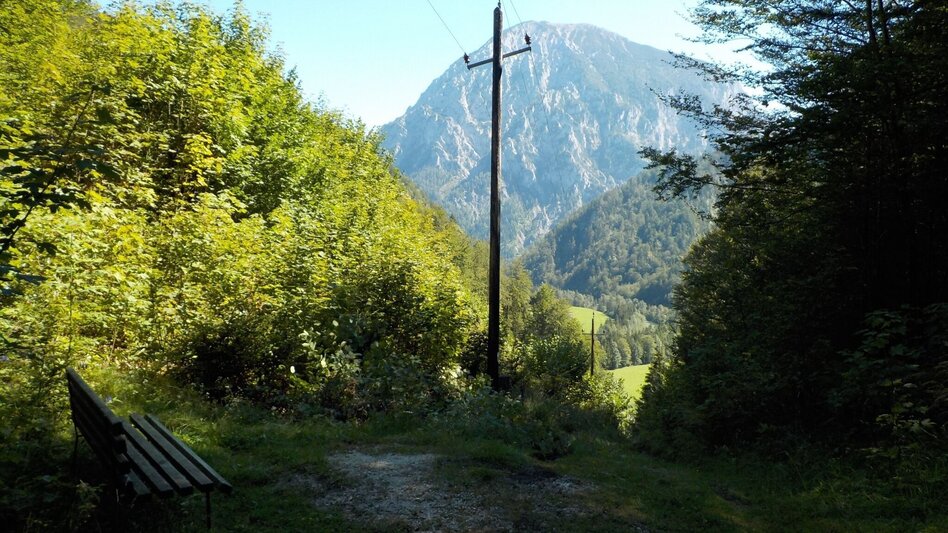 Wanderung Kräuterhalsrunde Wildalpen - Touren-Impression #2.8 | © Tourismusverband Wildalpen