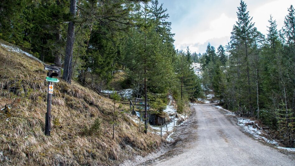 Wanderung Krumpenrunde Wildalpen - Touren-Impression #2.3 | © TV Gesäuse