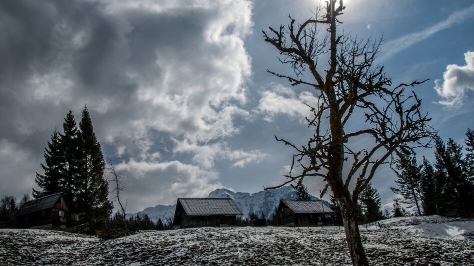 Wanderung Krumpenrunde Wildalpen - Touren-Impression #2.4 | © TV Gesäuse