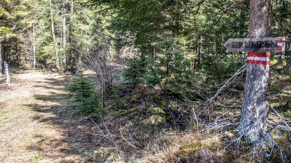 Wanderung Krumpenrunde Wildalpen - Touren-Impression #2.5 | © TV Gesäuse