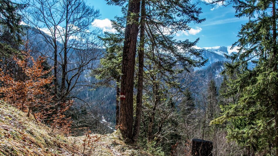 Wanderung Krumpenrunde Wildalpen - Touren-Impression #2.6 | © TV Gesäuse