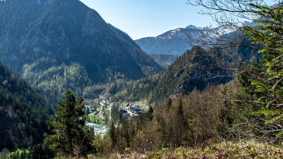 Bergtour Löwekogel Wildalpen - Touren-Impression #2.5 | © TV Gesäuse