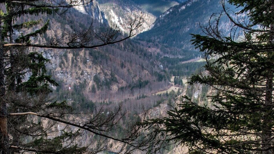 Mountain Hike Mitterberg Wildalpen - Touren-Impression #2.3 | © TV Gesäuse