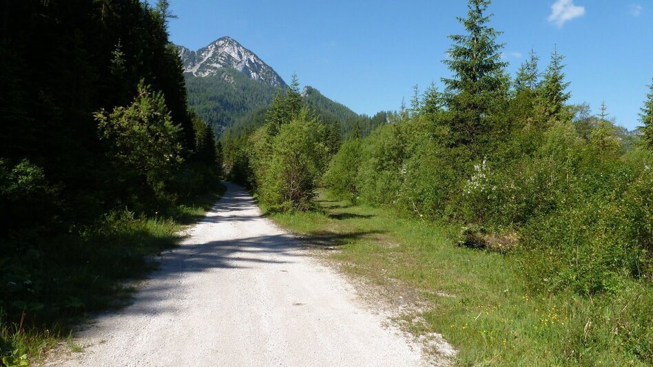 Wanderung Panoramarunde Hinterwildalpen in Wildalpen - Touren-Impression #2.2 | © Tourismusverband Wildalpen