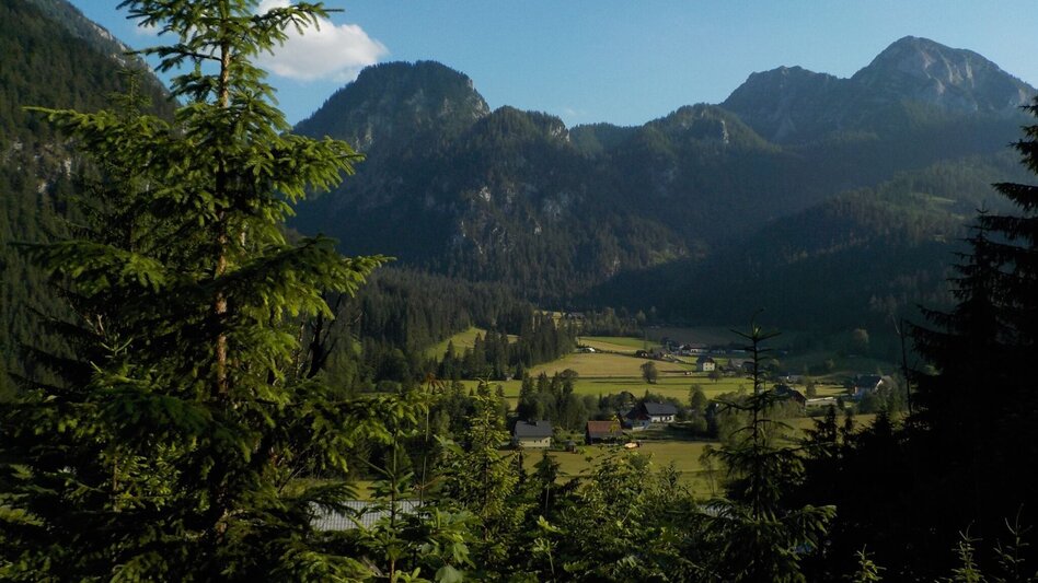 Wanderung Panoramarunde Hinterwildalpen in Wildalpen - Touren-Impression #2.3 | © Tourismusverband Wildalpen