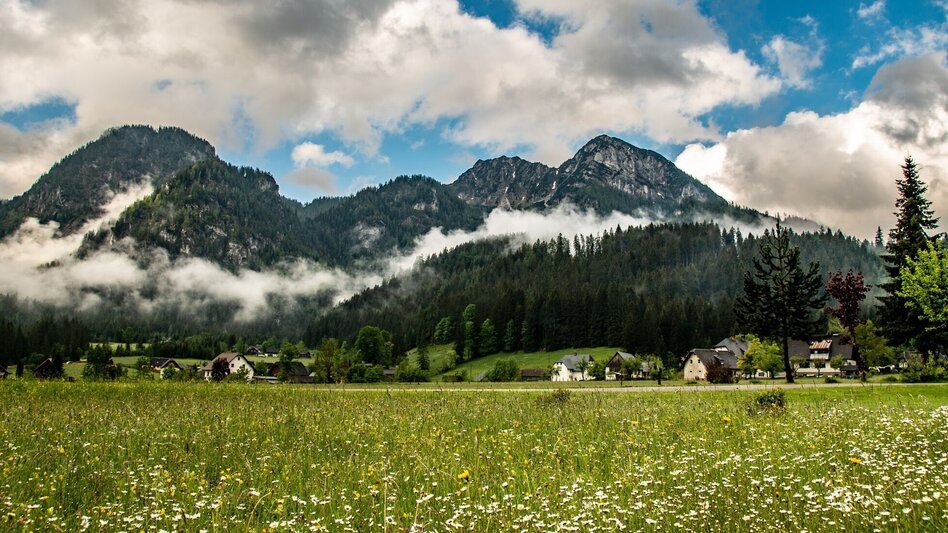 Wanderung Panoramarunde Hinterwildalpen in Wildalpen - Touren-Impression #2.6 | © TV Gesäuse