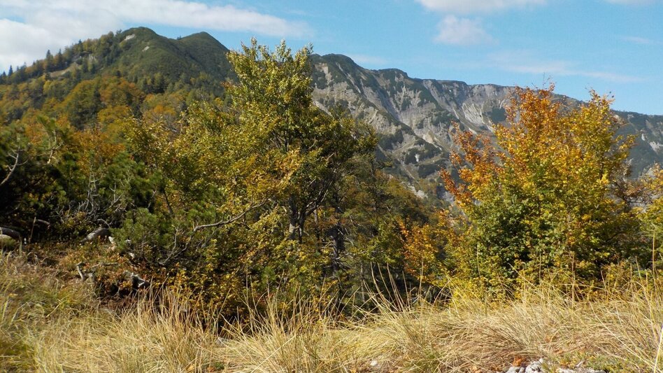 Bergtour Tremel - Ringkogel / Wildalpen - Touren-Impression #2.1 | © Tourismusverband Wildalpen