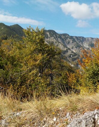 Alpintour Hochkar - Dürrenstein (Teilstück) | Christian Scheucher | © Tourismusverband Wildalpen