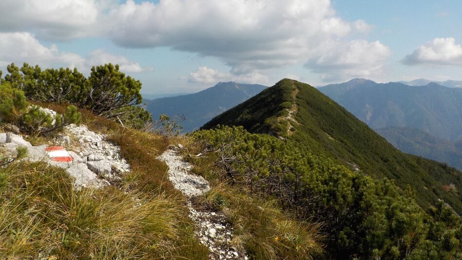 Bergtour Tremel - Ringkogel / Wildalpen - Touren-Impression #2.3 | © Tourismusverband Wildalpen