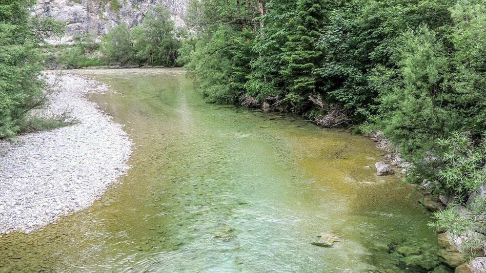 Bergtour Tremel - Ringkogel / Wildalpen - Touren-Impression #2.5 | © TV Gesäuse