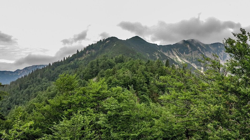 Bergtour Tremel - Ringkogel / Wildalpen - Touren-Impression #2.10 | © TV Gesäuse