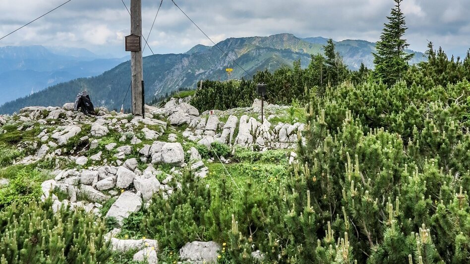 Bergtour Tremel - Ringkogel / Wildalpen - Touren-Impression #2.11 | © TV Gesäuse