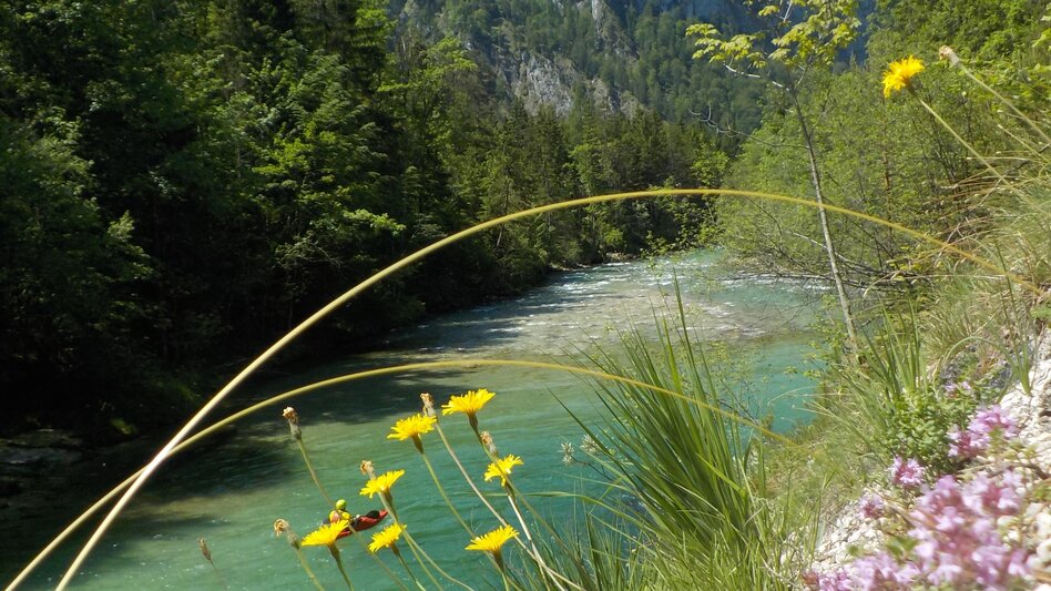 Kanu Kajak Wildwassertour auf der Salza - Wildalpen - Touren-Impression #2.3 | © Tourismusverband Wildalpen