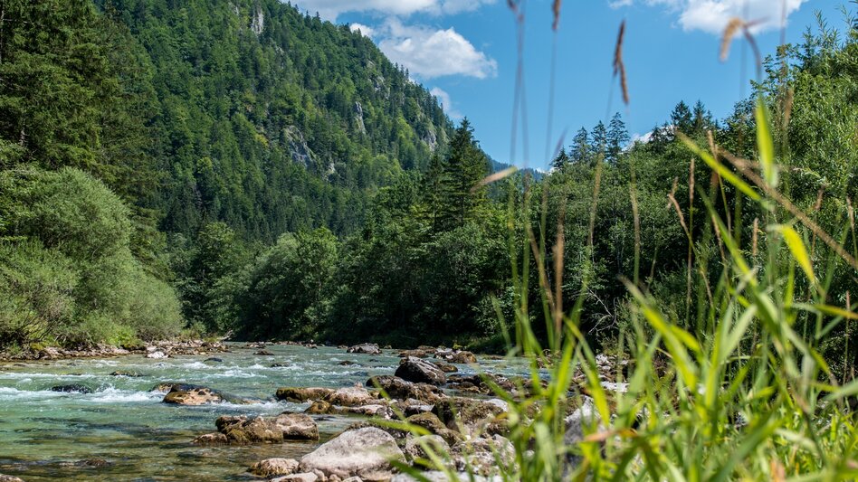 Kanu Kajak Wildwassertour auf der Salza - Wildalpen - Touren-Impression #2.5 | © TV Gesäuse