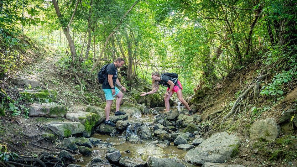 Hiking route Experience path of the senses (Erlebensweg der Sinne) - Touren-Impression #2.3 | © Gemeinde Unterlamm