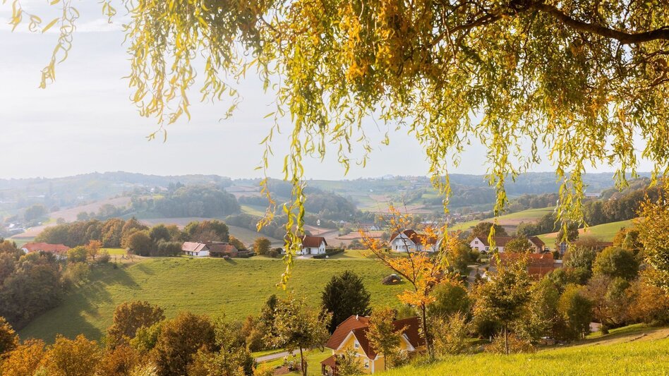 Hiking route Experience path of the senses (Erlebensweg der Sinne) - Touren-Impression #2.4 | © Gemeinde Unterlamm