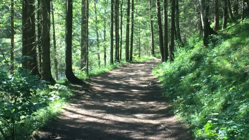 Hiking route Salza Waterfall - Touren-Impression #2.4 | © Erlebnisregion Schladming-Dachstein