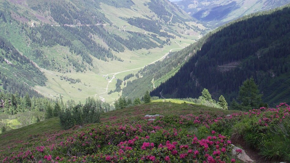 Wanderung Sattental Rundwanderweg - Touren-Impression #2.5 | © Erlebnisregion Schladming-Dachstein