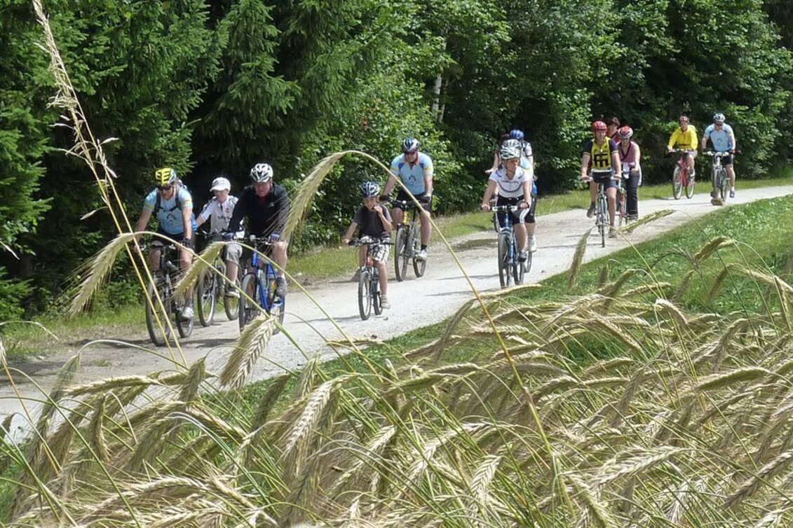 Bike Riding Nimm´s Radl 06 - Thermenrunde - Touren-Impression #1 | © Erlebnisregion Murtal