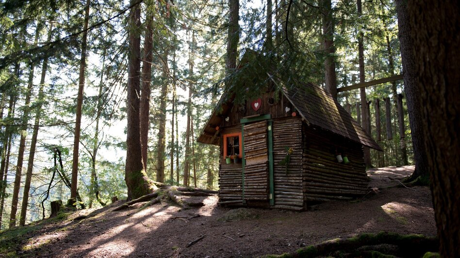 Radfahren Nimm´s Radl 07 -  Murradweg Tour - Touren-Impression #2.4 | © ANITA_FOESSL