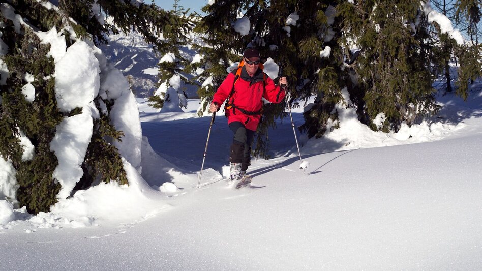 Ski Touring Ski tour to the Wolfnalmspitze - Touren-Impression #2.1 | © Erlebnisregion Schladming-Dachstein