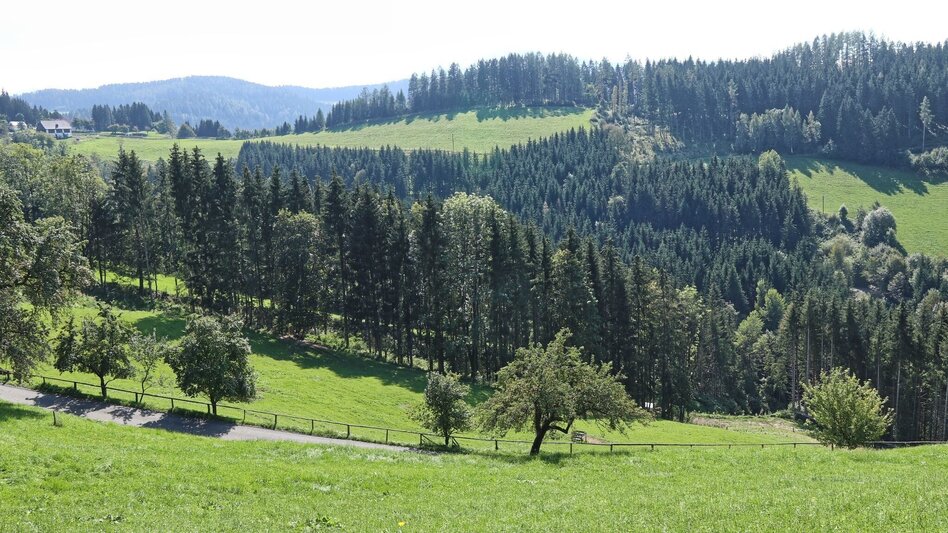 Wanderung Panoramarunde Großlobming - Touren-Impression #2.9 | © WEGES OG
