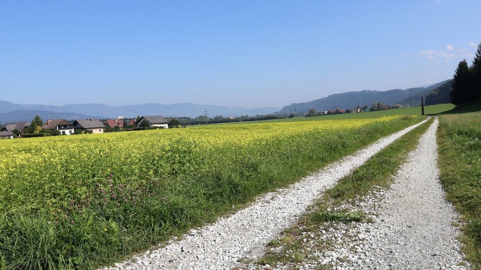 Wanderung Panoramarunde Großlobming - Touren-Impression #2.11 | © WEGES OG