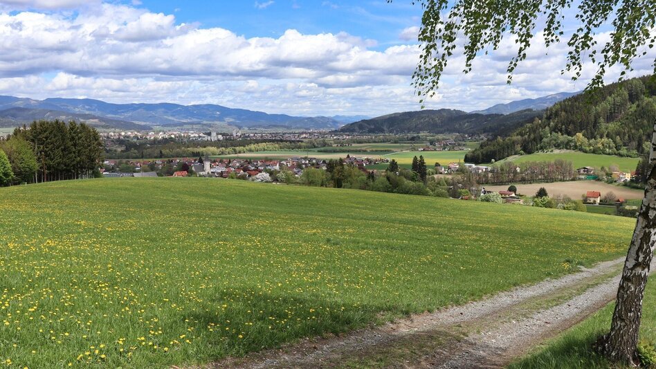 Hiking route Forest circular trail above Reitinger in Großlobming - Touren-Impression #2.3 | © WEGES OG