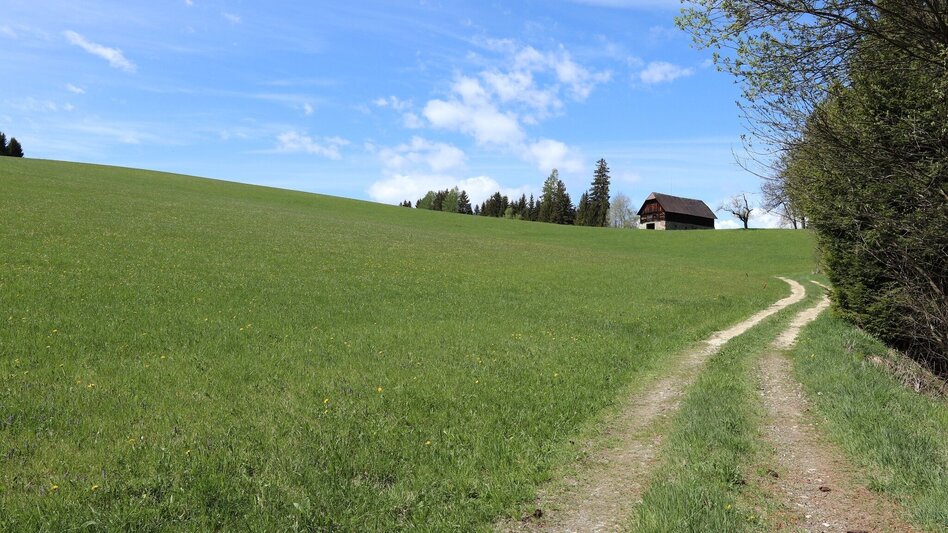 Hiking route Forest circular trail above Reitinger in Großlobming - Touren-Impression #2.7 | © WEGES OG