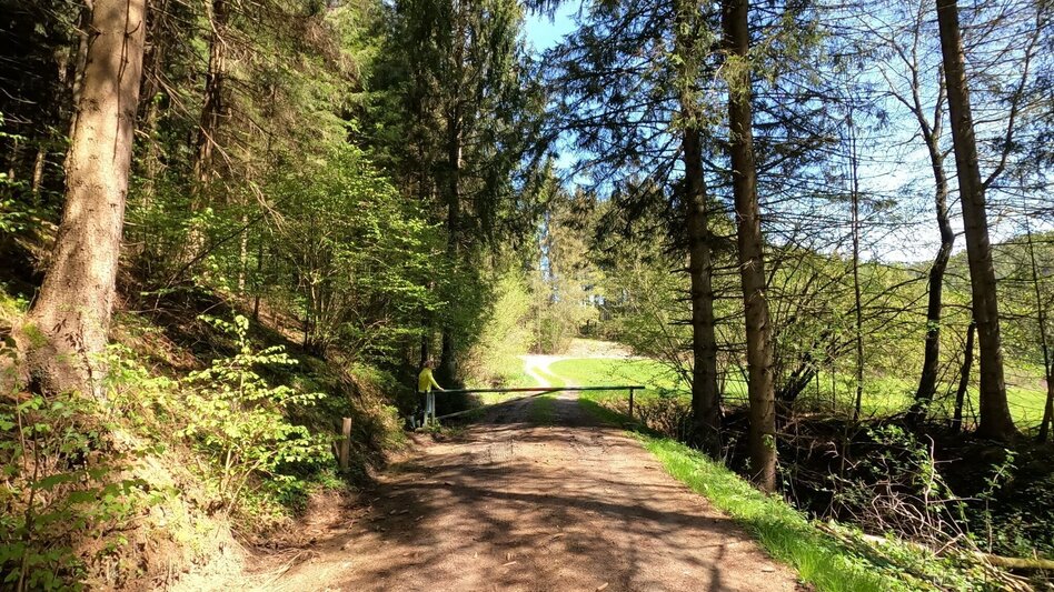 Hiking route Forest circular trail above Reitinger in Großlobming - Touren-Impression #2.8 | © WEGES OG