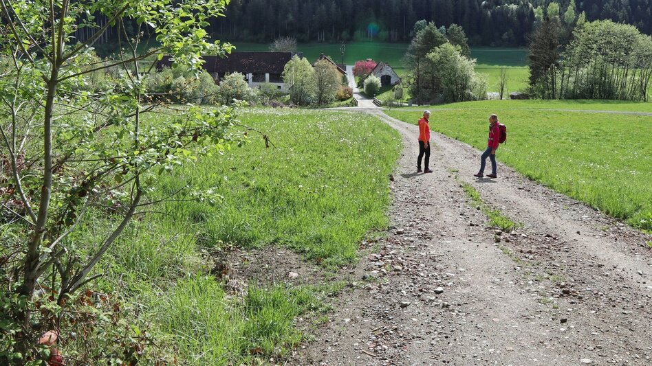 Hiking route Forest circular trail above Reitinger in Großlobming - Touren-Impression #2.9 | © WEGES OG