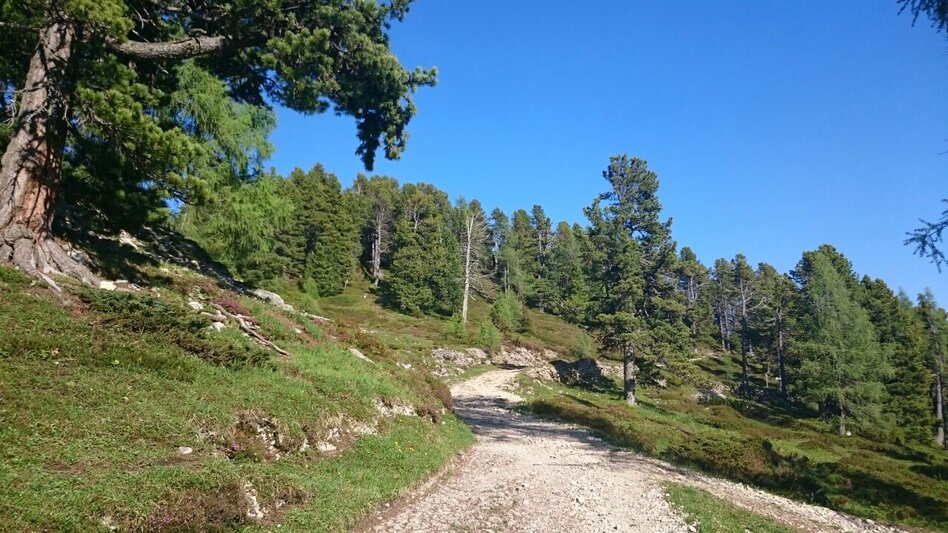 Panoramatouren/Themenstraßen Stoderzinken Alpenstraße - Touren-Impression #2.8 | © Erlebnisregion Schladming-Dachstein