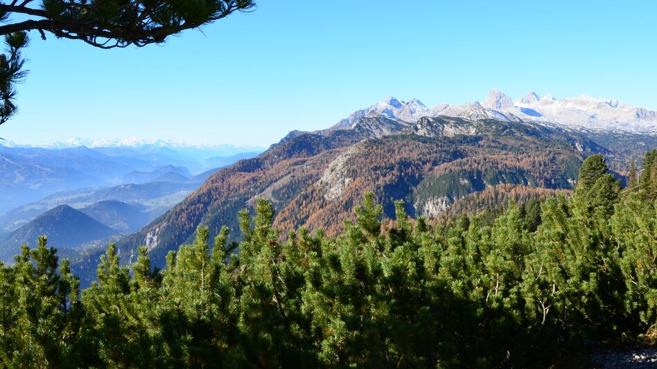 Panoramatouren/Themenstraßen Stoderzinken Alpenstraße - Touren-Impression #2.12 | © Erlebnisregion Schladming-Dachstein