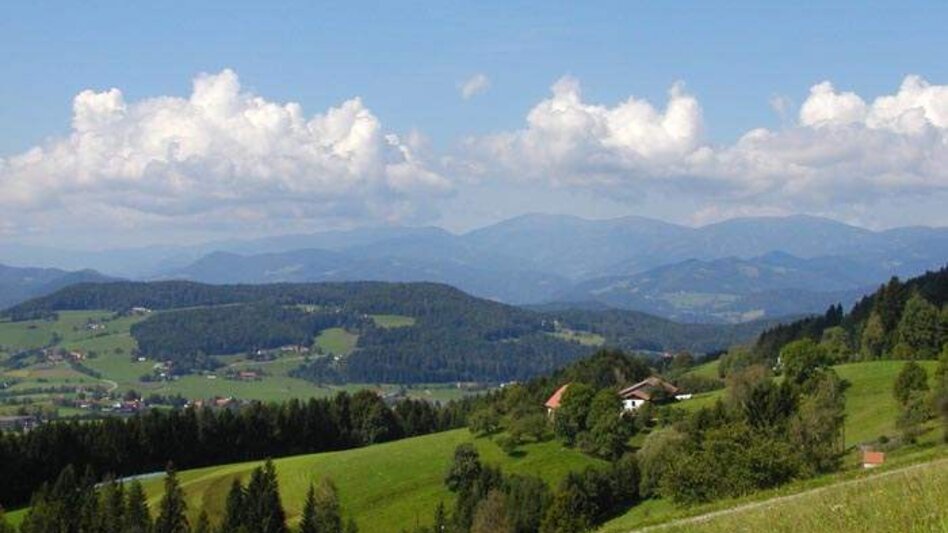 Hiking route R10 Boden-Rechbergkogel-Greithweg - Touren-Impression #2.1 | © Region Graz