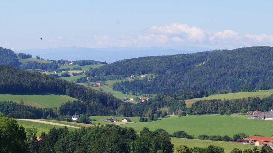 Hiking route R10 Boden-Rechbergkogel-Greithweg - Touren-Impression #2.2 | © Region Graz