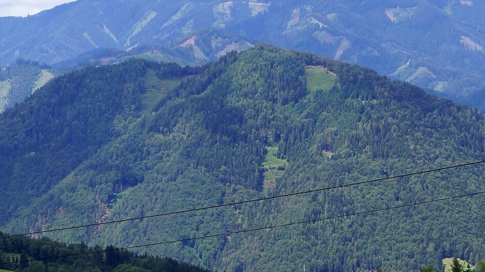 Hiking route R10 Boden-Rechbergkogel-Greithweg - Touren-Impression #2.5 | © Region Graz