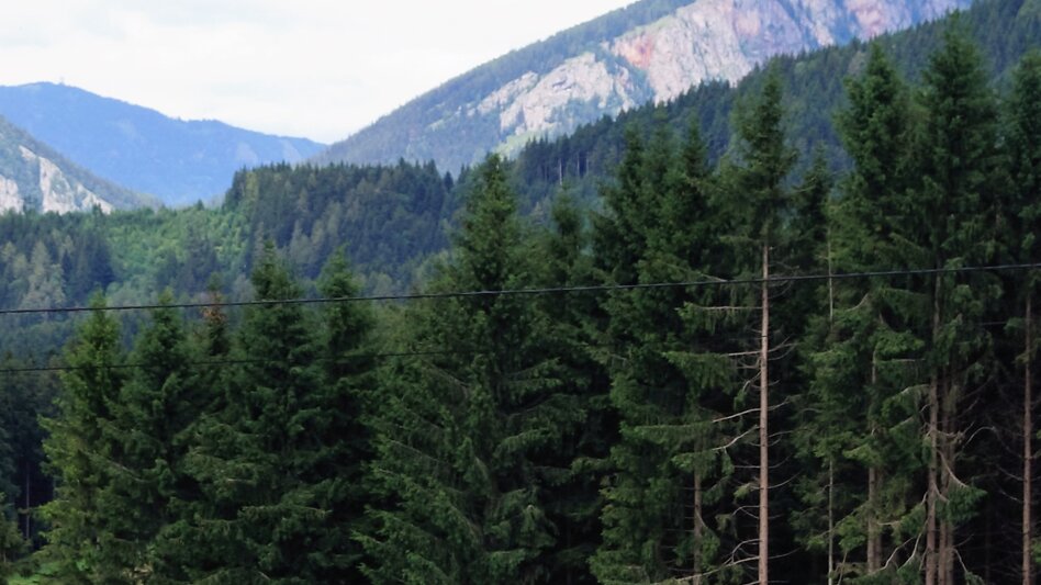 Hiking route R10 Boden-Rechbergkogel-Greithweg - Touren-Impression #2.6 | © Region Graz